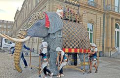  Was macht der Elefant vor dem Neuen Schloss?